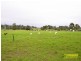 South Windsor NSW 2756