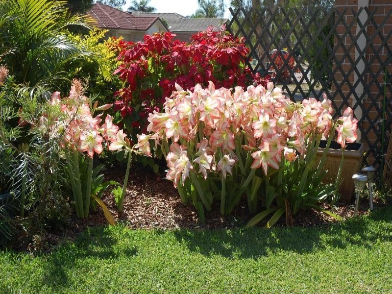 Varsity Lakes QLD 4227