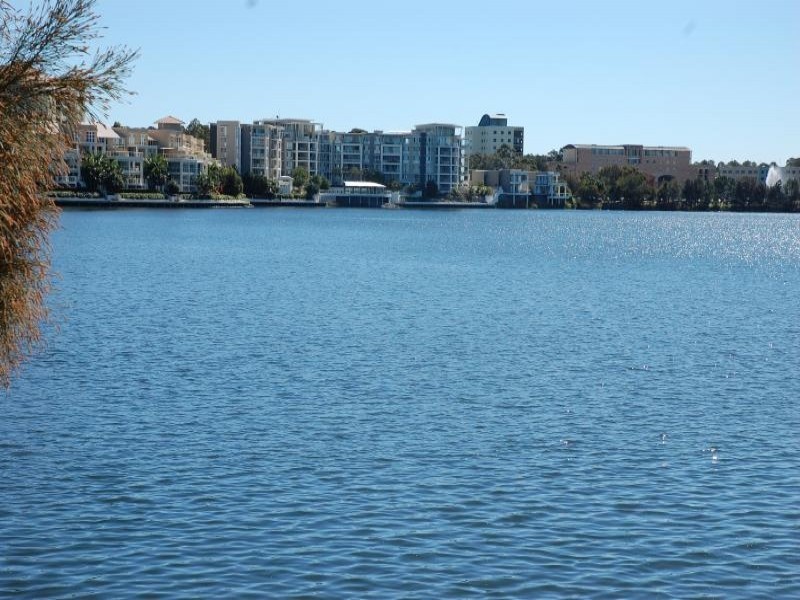 29 Northwestern Ct, Varsity Lakes QLD 4227