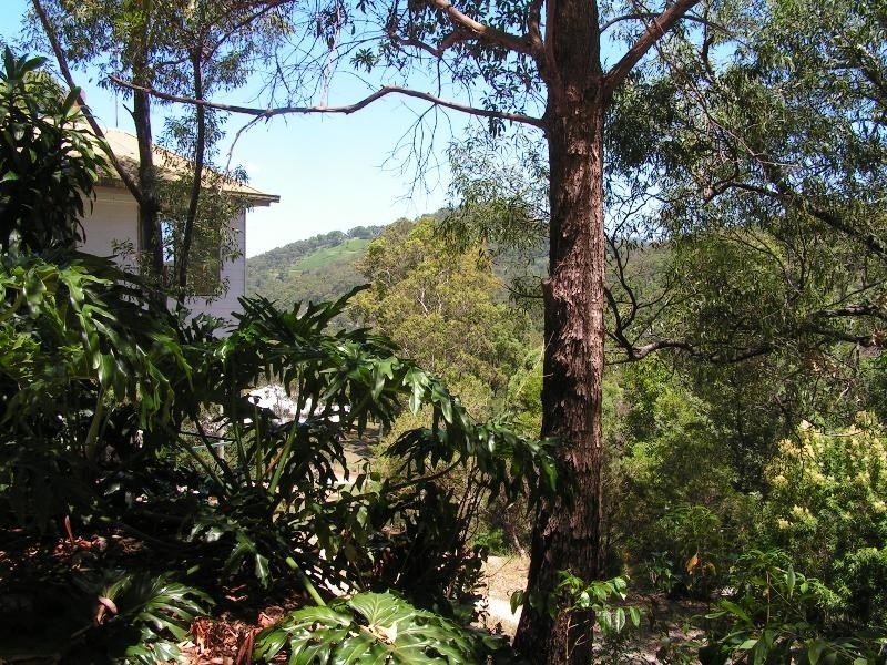 79 Monday Drive, Tallebudgera Valley QLD 4228