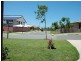19 Willowtree Drive, Reedy Creek QLD 4227