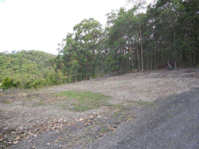 13 Seascape Ct, Tallai QLD 4213