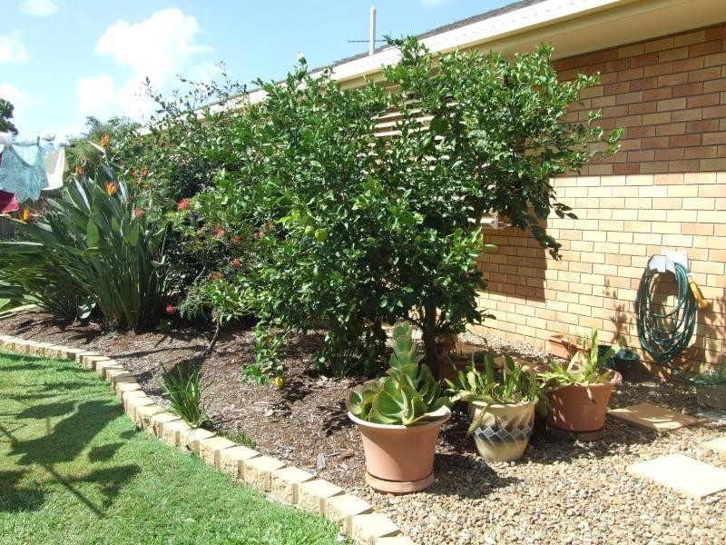 1/1 Greenleaf Close, Burleigh Waters QLD 4220