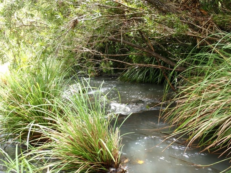 190 Glenmore Drive, Bonogin QLD 4213