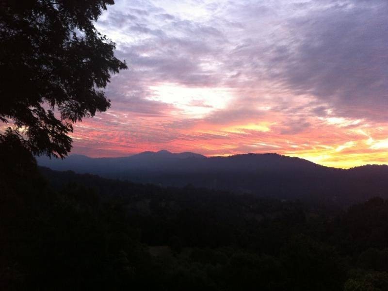 7 Reynella Road, Tallebudgera QLD 4228