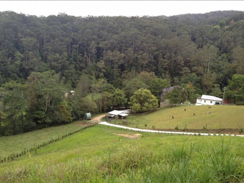 1484 Currumbin Creek Road, Currumbin Valley QLD 4223
