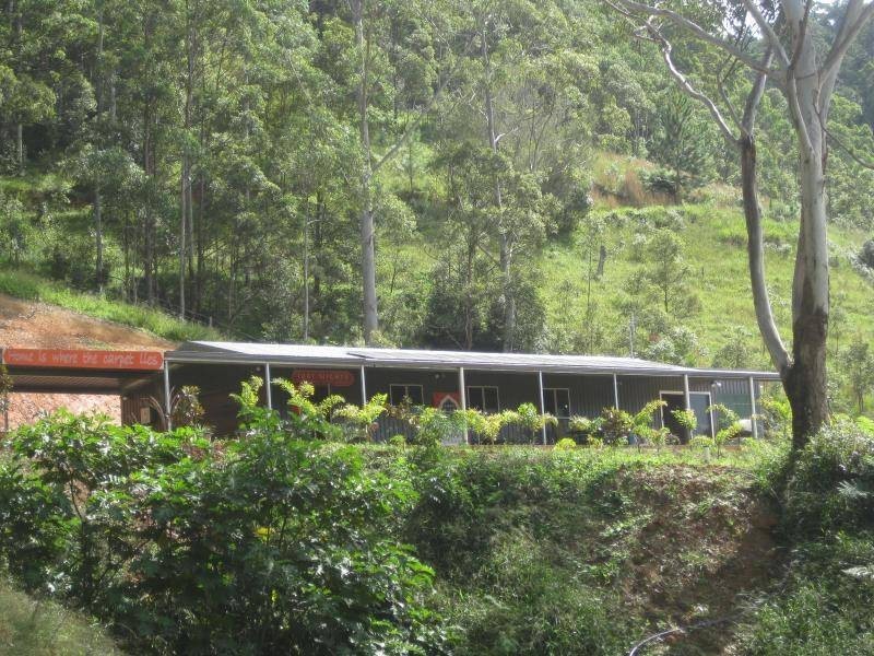 1484 Currumbin Creek Road, Currumbin Valley QLD 4223