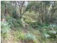 11 Barmark Ct, Tallebudgera Valley QLD 4228