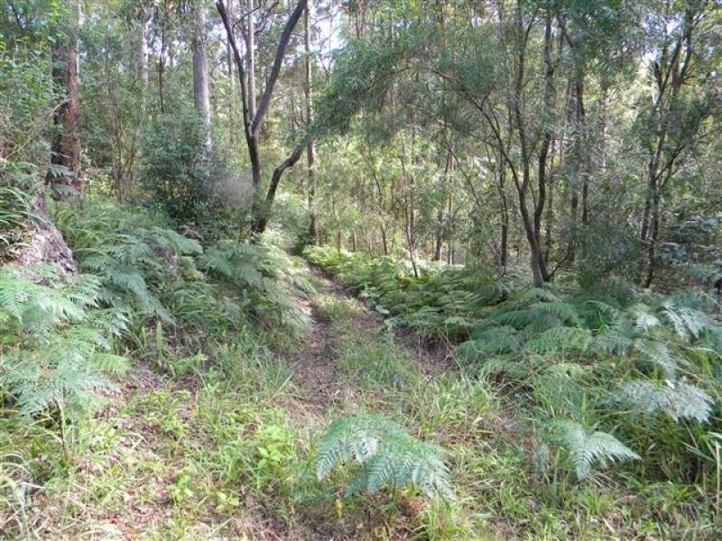 11 Barmark Ct, Tallebudgera Valley QLD 4228