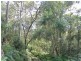 11 Barmark Ct, Tallebudgera Valley QLD 4228