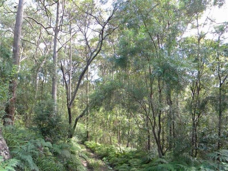 11 Barmark Ct, Tallebudgera Valley QLD 4228