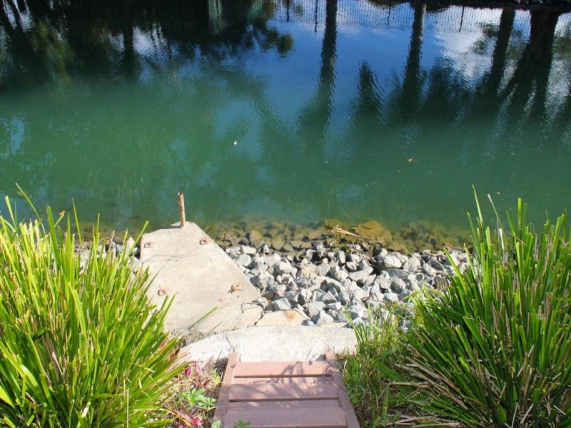 61/92 Guineas Creek Road, Currumbin Waters QLD 4223