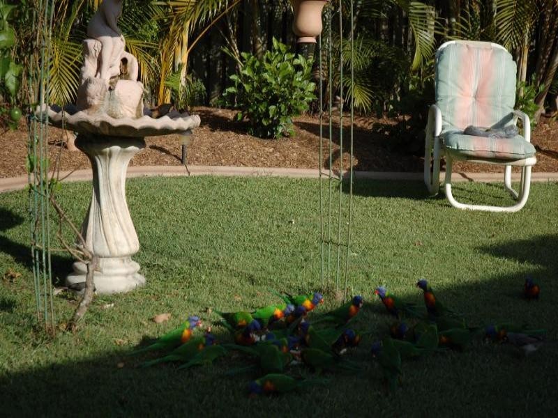 8 Glastonbury Drive, Mudgeeraba QLD 4213