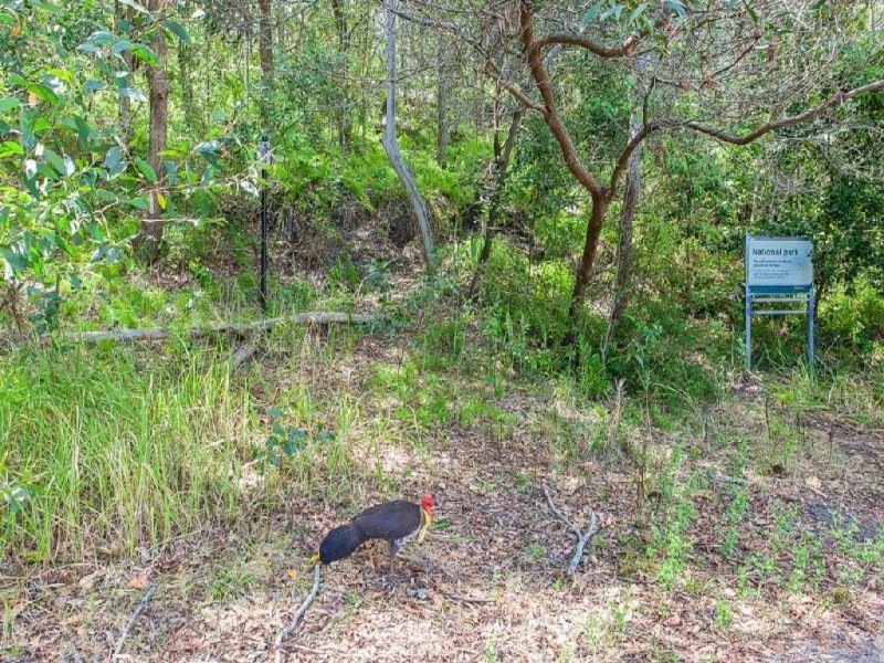 49 Julia Street, Burleigh Heads QLD 4220