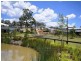 16 Culgoora Cr, Reedy Creek QLD 4227