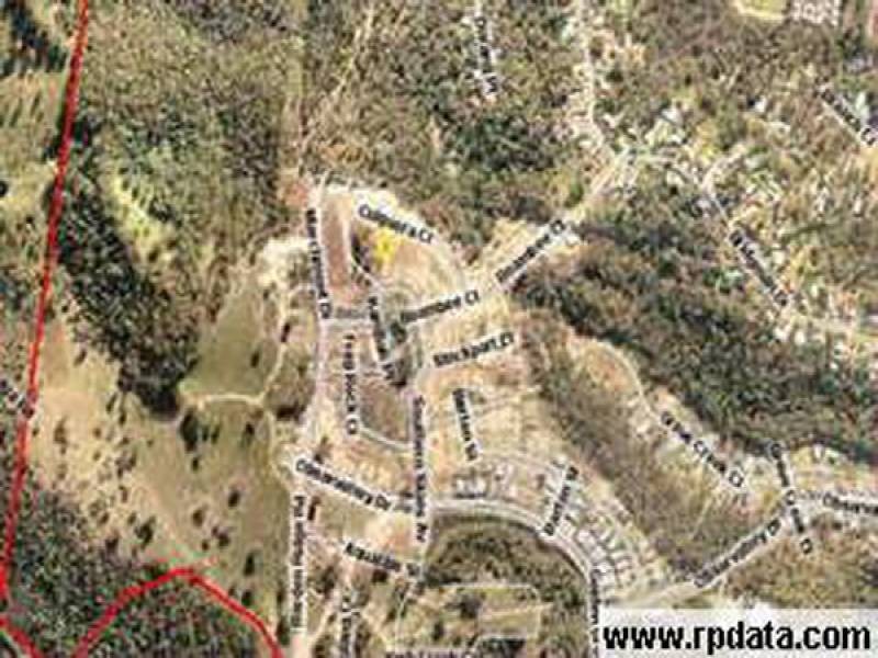 16 Culgoora Cr, Reedy Creek QLD 4227