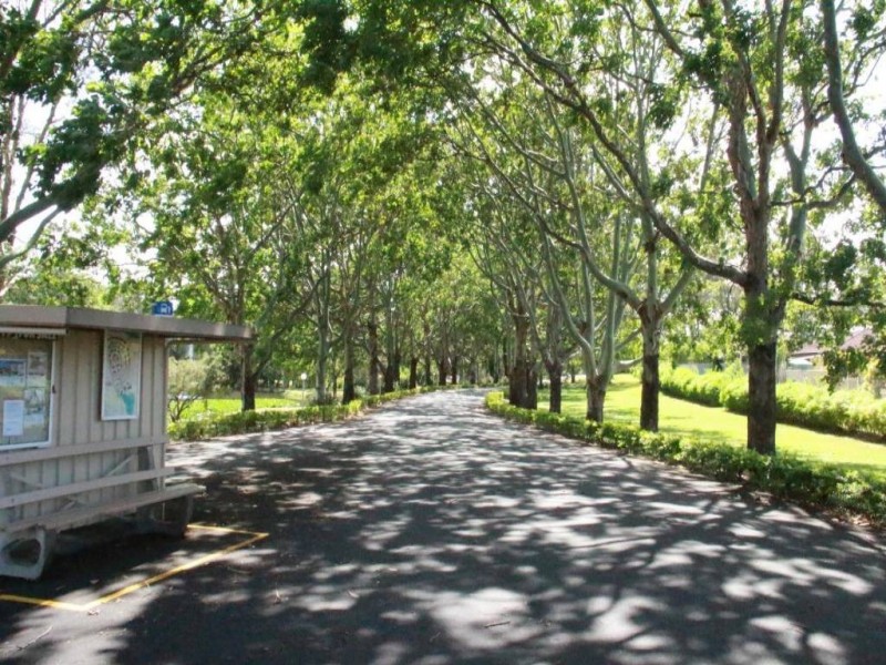 19/170 Bardon Avenue, Burleigh Waters QLD 4220