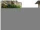 9/1927 Gold Coast Highway, Burleigh Heads QLD 4220