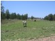 Oman Ama QLD 4352