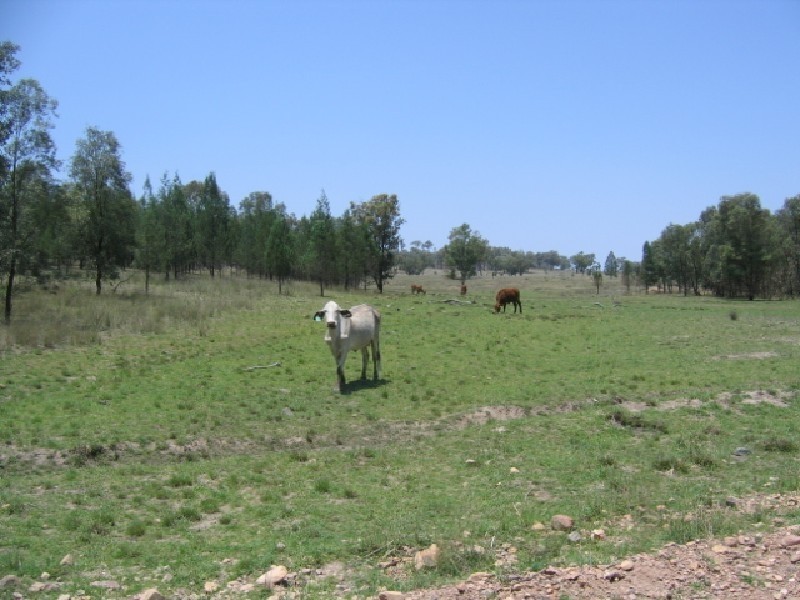 Oman Ama QLD 4352