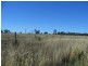 Texas QLD 4385
