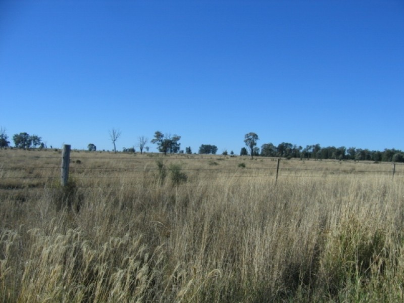 Texas QLD 4385