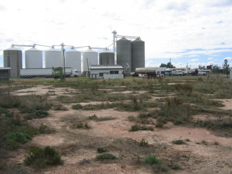 Yelarbon QLD 4388