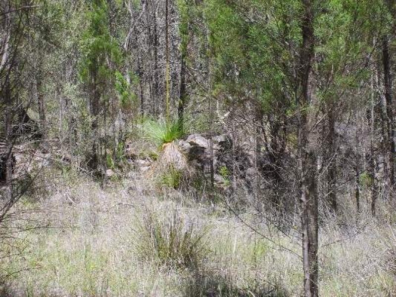 Stanthorpe QLD 4380