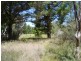 Stanthorpe QLD 4380