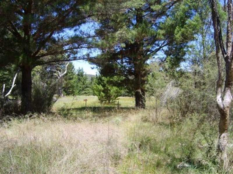 Stanthorpe QLD 4380
