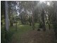 10 Llewellyn St, Amity QLD 4183