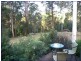 King Creek NSW 2446