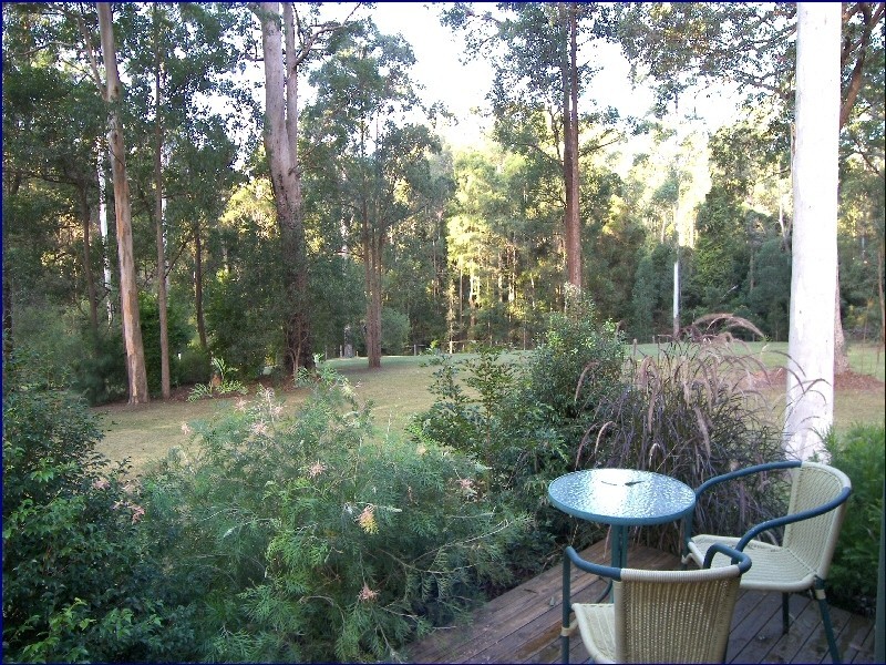 King Creek NSW 2446