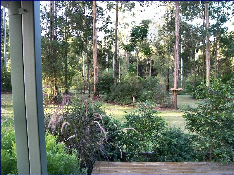 King Creek NSW 2446