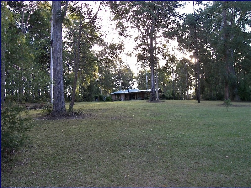 King Creek NSW 2446