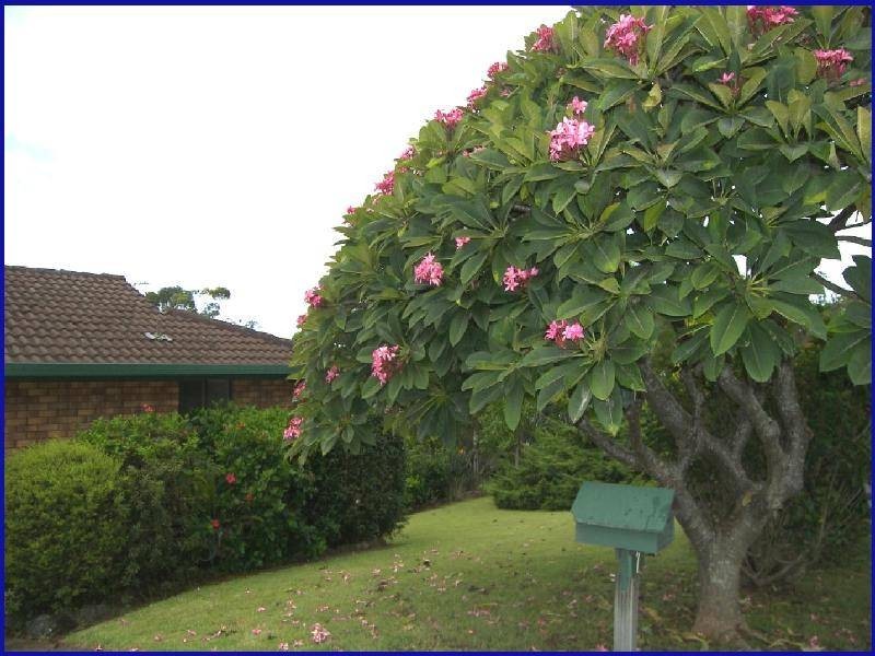 7 ASTRONOMERS TERRACE, Port Macquarie NSW 2444