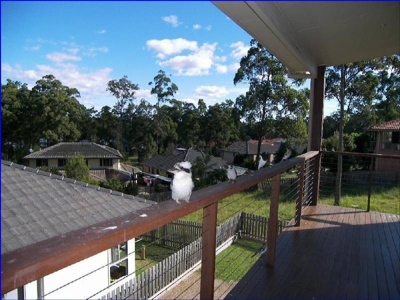 Port Macquarie NSW 2444