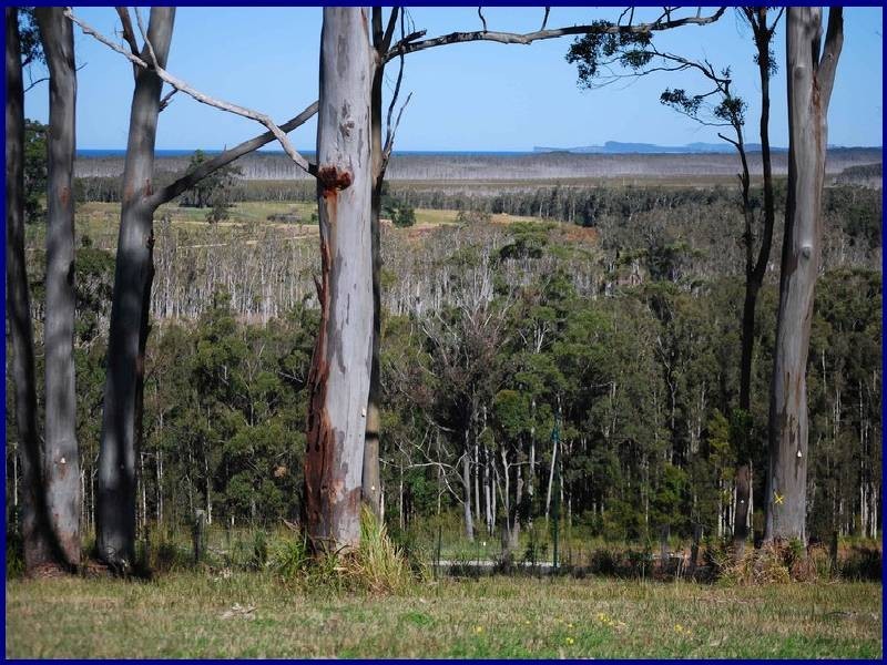 LOT 95 CRESTWOOD HEIGHTS, Port Macquarie NSW 2444