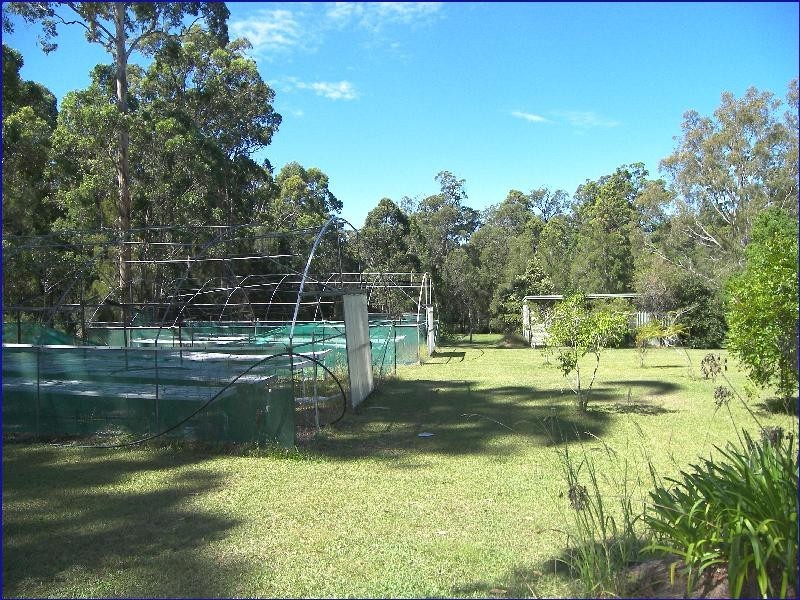 King Creek NSW 2446