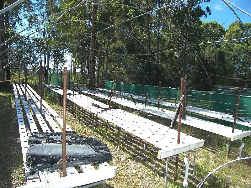 King Creek NSW 2446