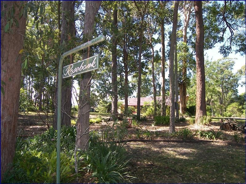 King Creek NSW 2446