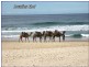 23 THE SUMMIT ROAD, Port Macquarie NSW 2444
