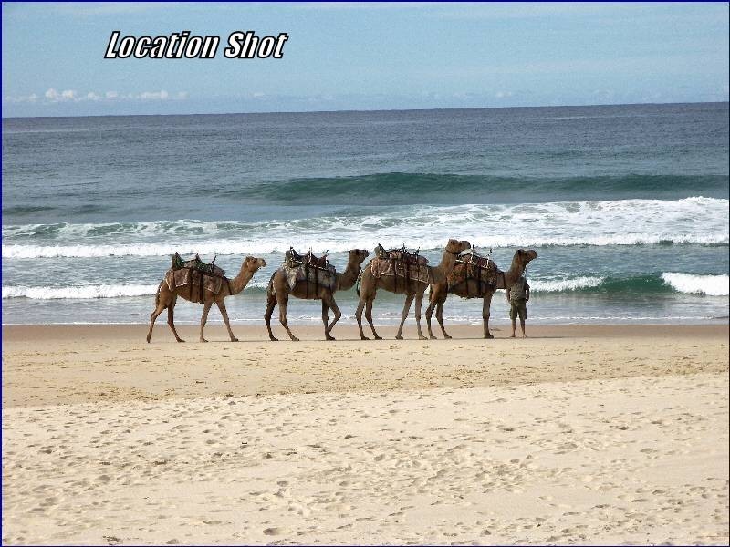 23 THE SUMMIT ROAD, Port Macquarie NSW 2444