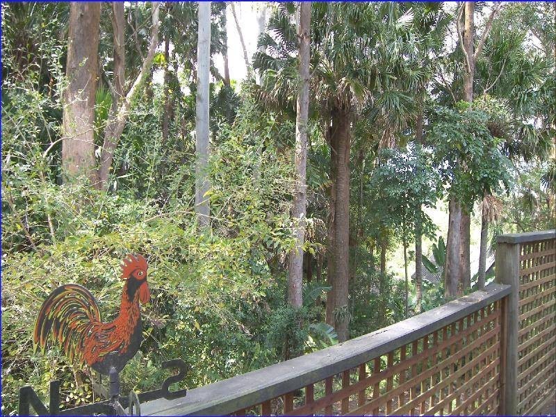 202 PACIFIC DRIVE, Port Macquarie NSW 2444