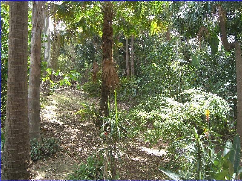 202 PACIFIC DRIVE, Port Macquarie NSW 2444