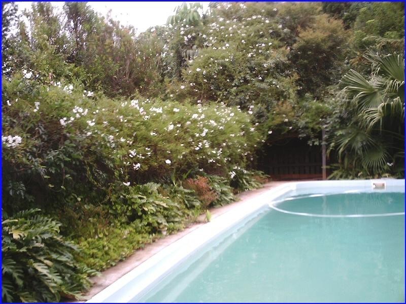 4 LIVINGSTONE ROAD, Port Macquarie NSW 2444