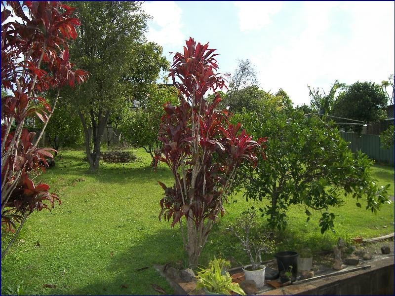 Port Macquarie NSW 2444
