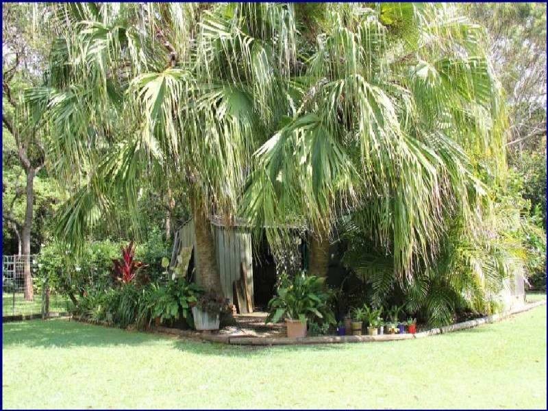 Port Macquarie NSW 2444