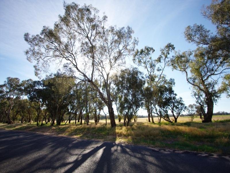 23 Dillon Avenue, Cootamundra NSW 2590