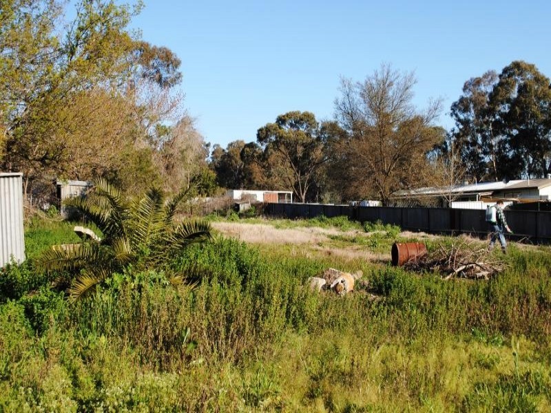 6 Bradman Street, Cootamundra NSW 2590